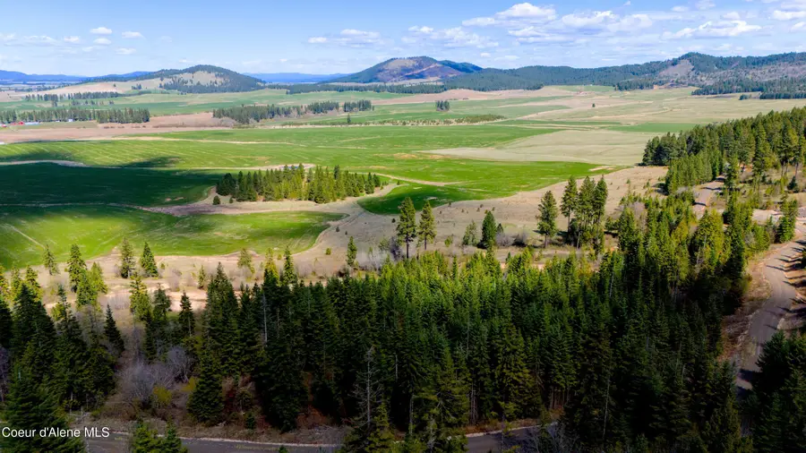 Lot 12 Lone Moose Dr, Plummer, ID 83851 - Image #3