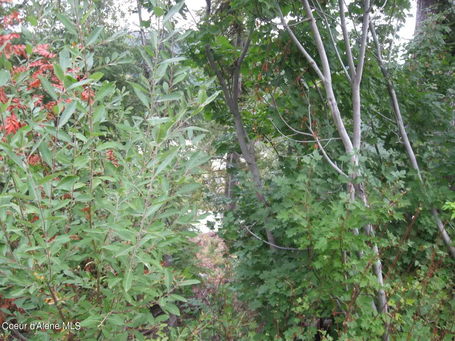 NKA Parallel Run BLK 6 LOT 10, Sandpoint, ID 83864 - Image #3