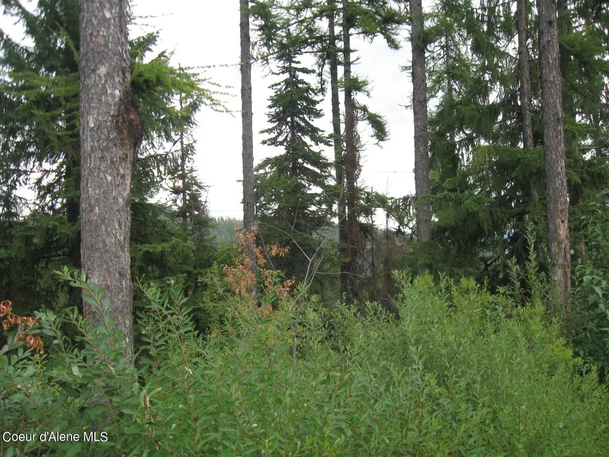 NKA Parallel Run BLK 6 LOT 9A, Sandpoint, ID 83864 - Image #1