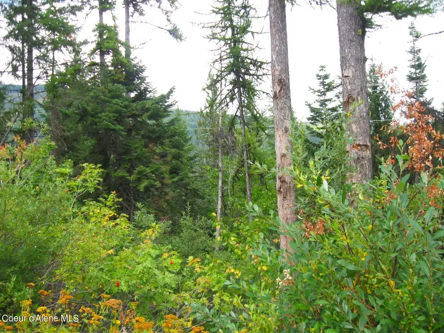 NKA Parallel Run BLK 6 LOT 9A, Sandpoint, ID 83864 - Image #2