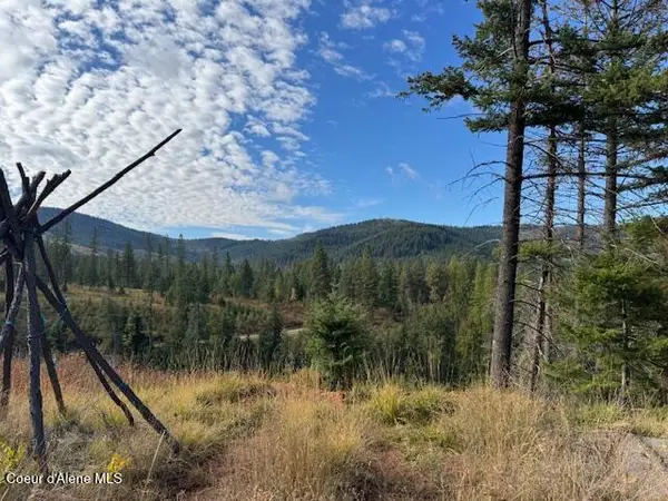 NKA 40 Acres Dole Camp Road, Tensed, ID 83870