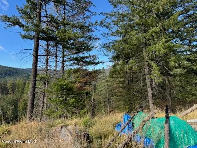 NKA Parcel 1 Dole Camp Road, Tensed, ID 83870 - Image #3