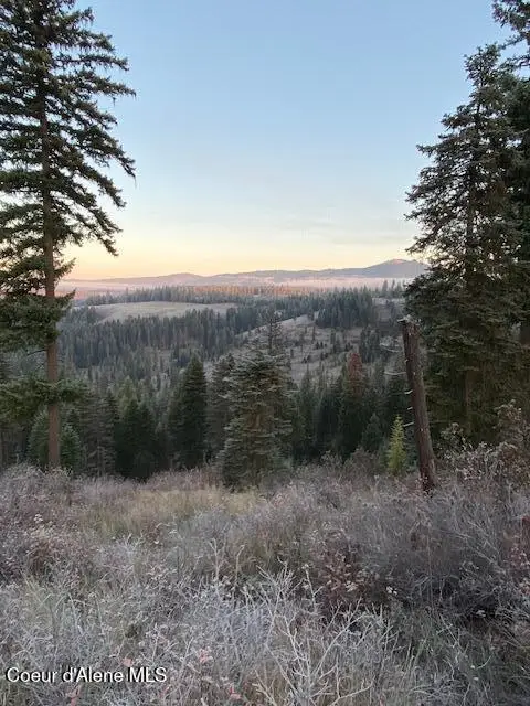 Lot 2 Flat Creek Rd, St. Maries, ID 83861