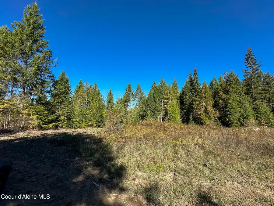 NNA Turner Hill Rd Lot 2 (4050A), Bonners Ferry, ID 83805 - Image #3