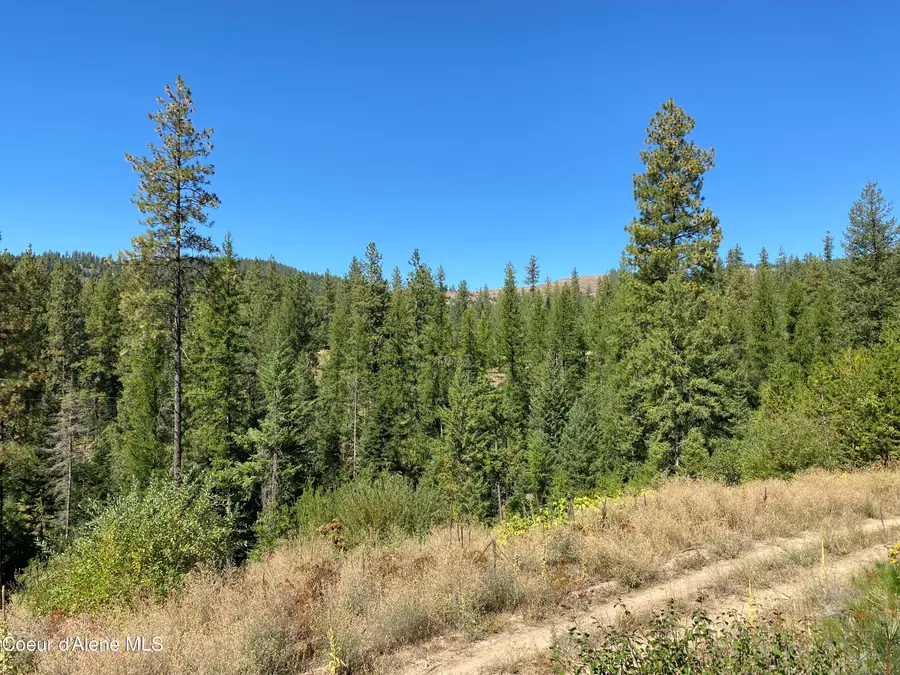 NNA Stone Rd Lot 2 (20.0 Acres), Blanchard, ID 83804 - Image #2