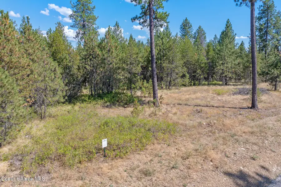 Lot 4 Dawson Lp, Athol, ID 83801 - Image #2