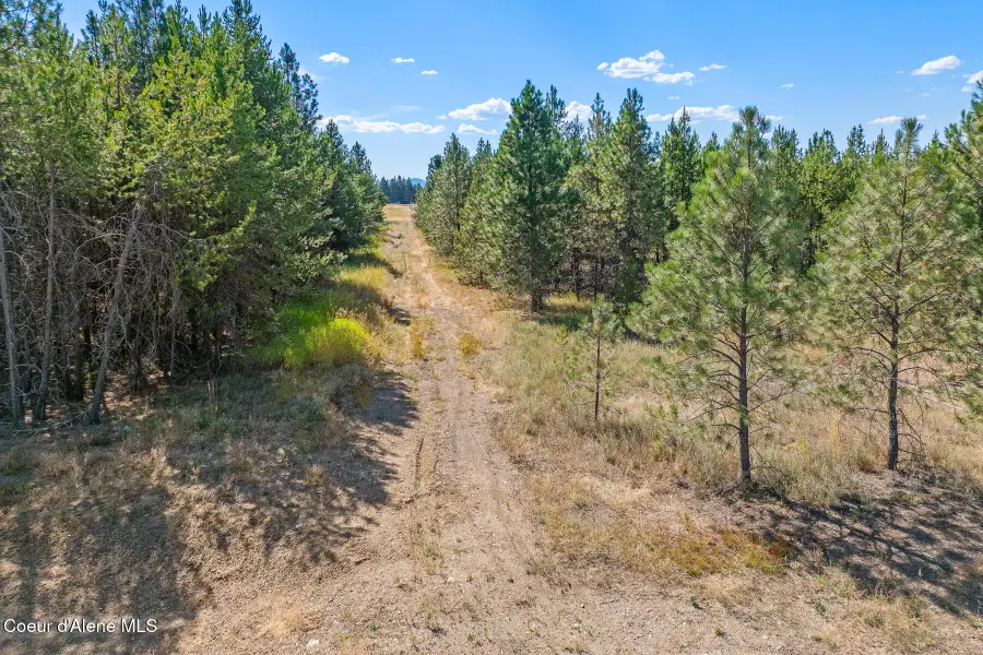 Lot 17 Asulkan St, Athol, ID 83801 - Image #2