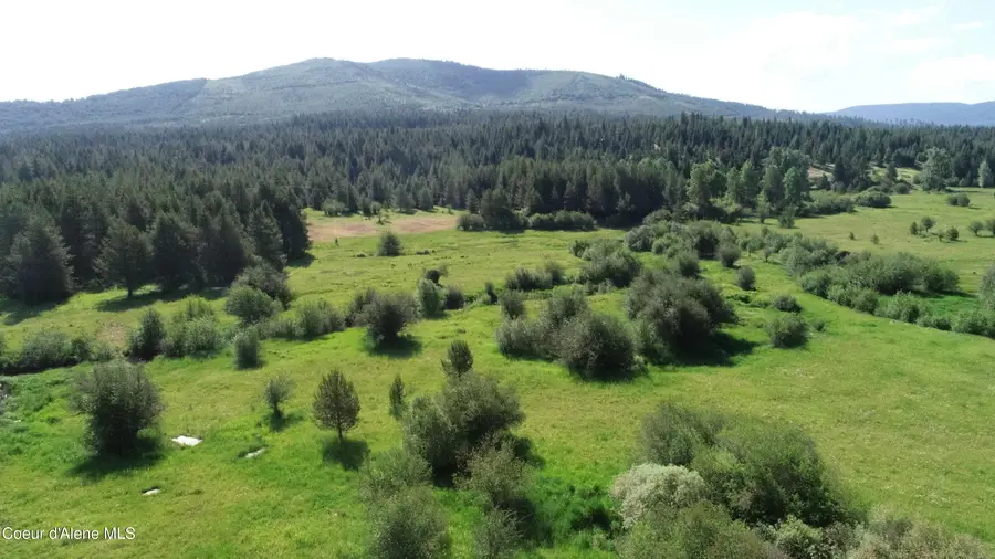 29251 Highway 6, Saint Maries, ID 83861 - #2