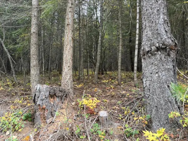 NKA Parker Canyon Road, Bonners Ferry, ID 83805