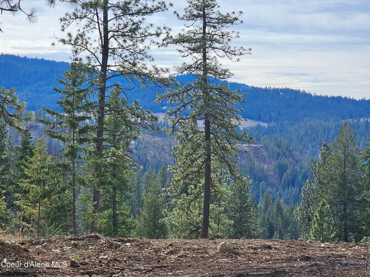 2252 E Badger Rd, Harrison, ID 83833 - Image #1