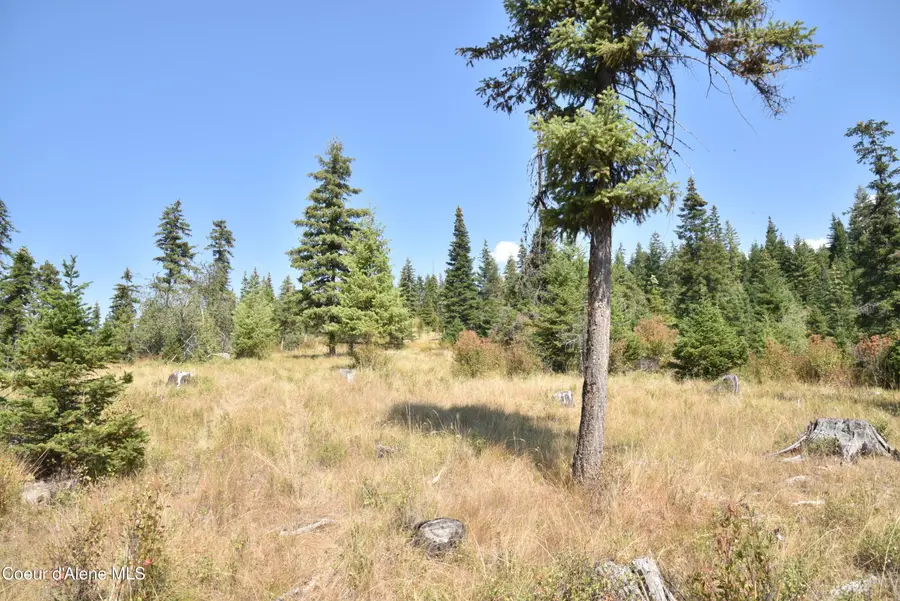 NNA lot 3 Carpenter Creek Rd, Fernwood, ID 83830 - Image #3