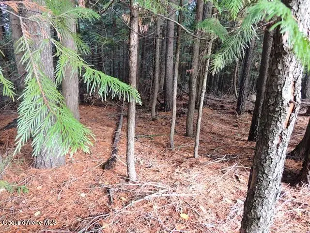 NKA Governors Way, Spirit Lake, ID 83869 - Image #3