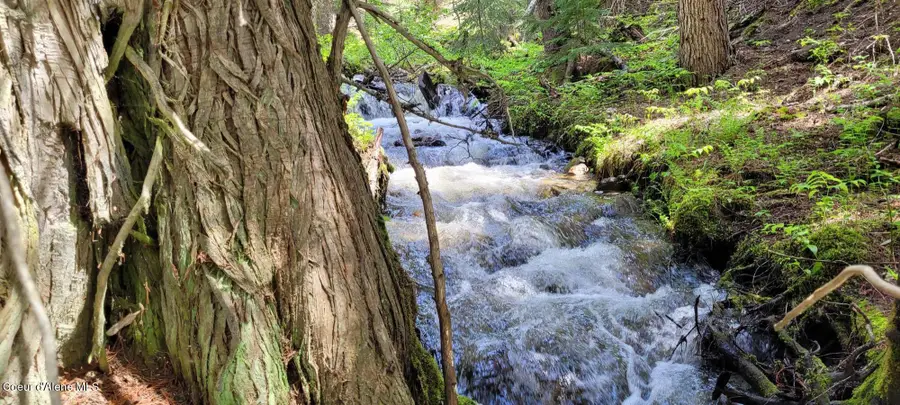 574 Poco Lobo Rd, Yaak, MT 59935 - Image #2