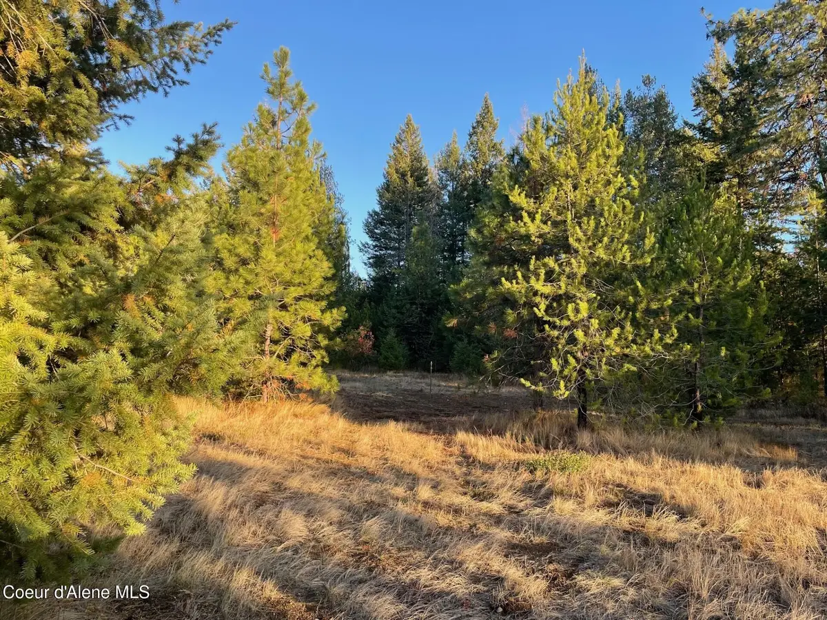 NKA Hope Valley Rd 5 acres, Rathdrum, ID 83858 - Image #1