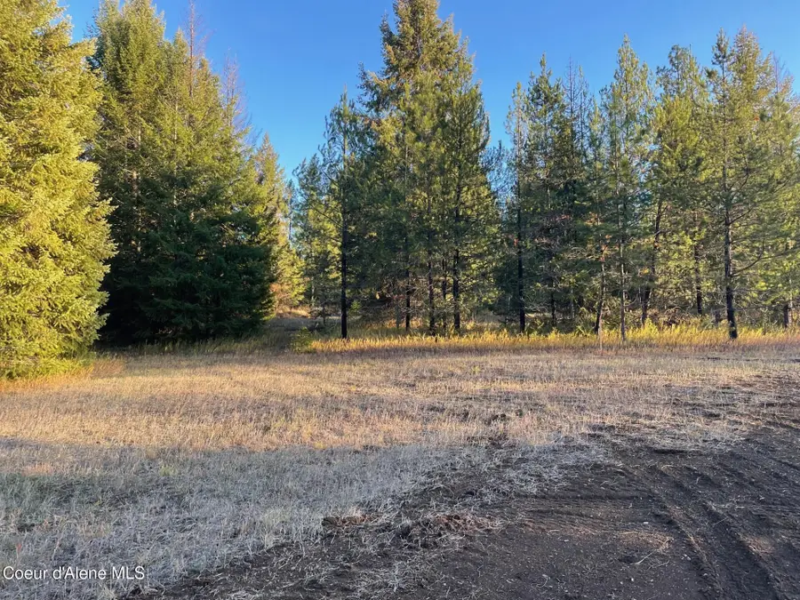 NKA Hope Valley Rd 5 acres, Rathdrum, ID 83858 - Image #3