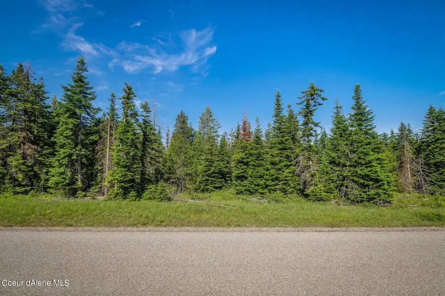 Lot 10 E Riley Loop, Athol, ID 83801 - #3