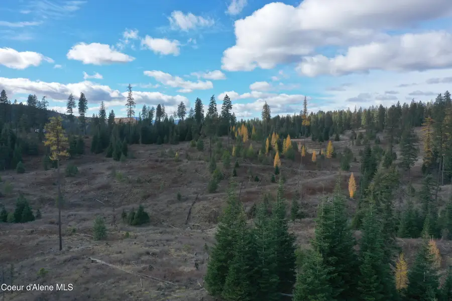 NKA Bugle Point Rd., Saint Maries, ID 83861 - Image #2