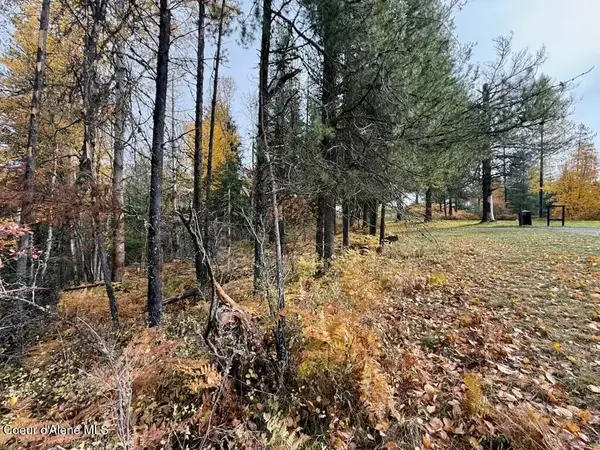 NKA Country Club Rd, Kellogg, ID 83837