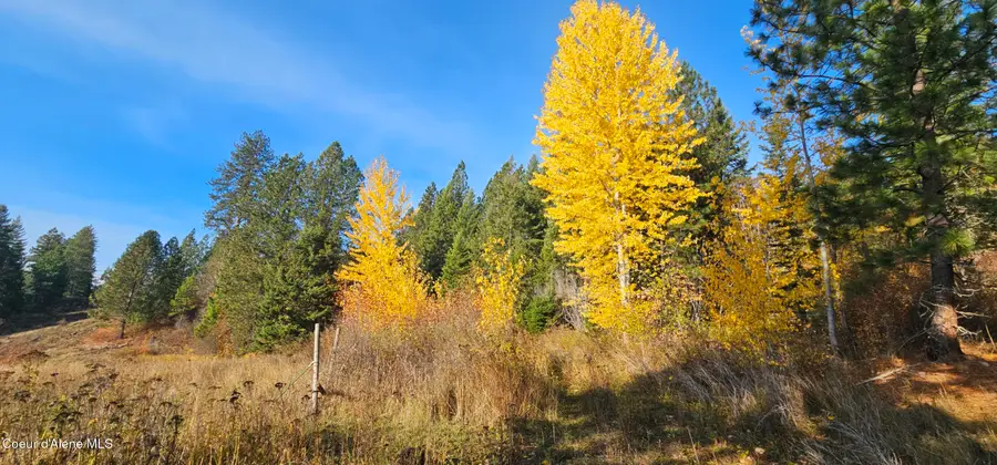 125 Tracker Way, Priest River, ID 83856 - Image #3