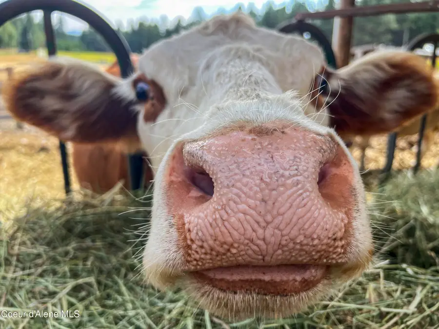 11897 W Hidden Valley RD, Rathdrum, ID 83858 - Image #3