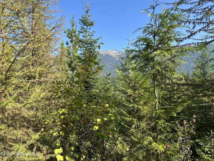 Tract 5 USFS 2294, Clark Fork, ID 83811 - Image #2