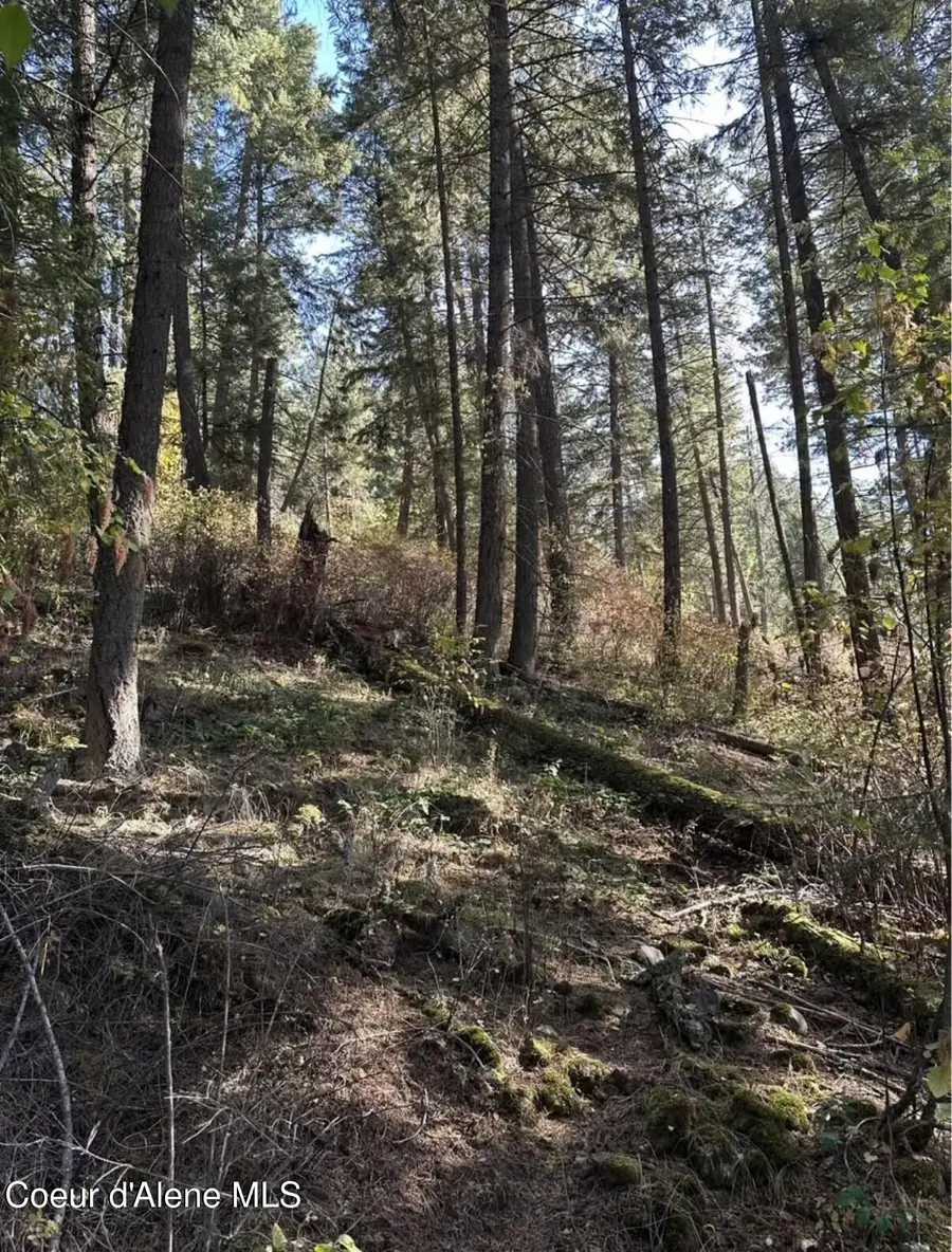 S HWY 97, Harrison, ID 83833 - #2