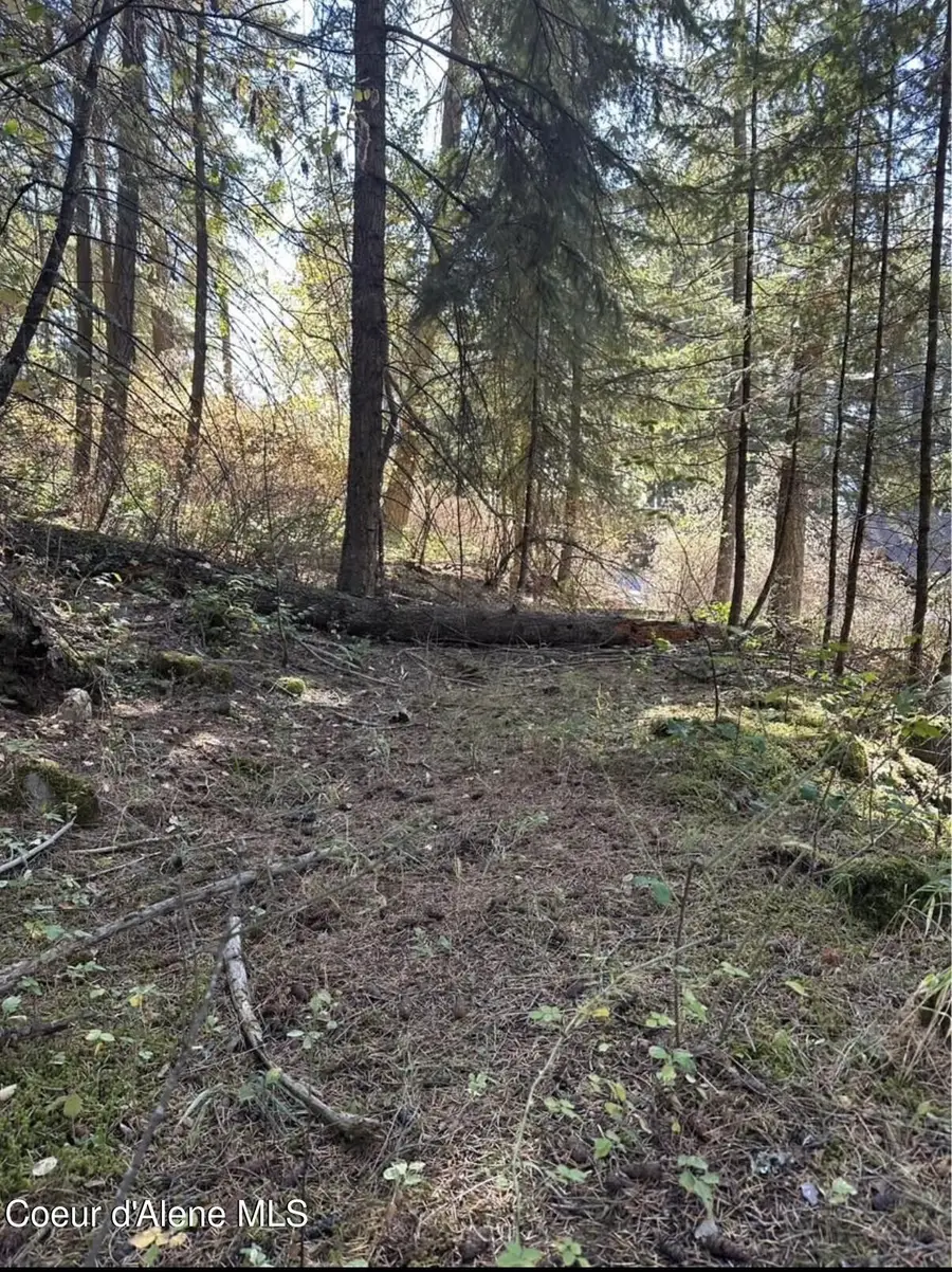 S HWY 97, Harrison, ID 83833 - #3