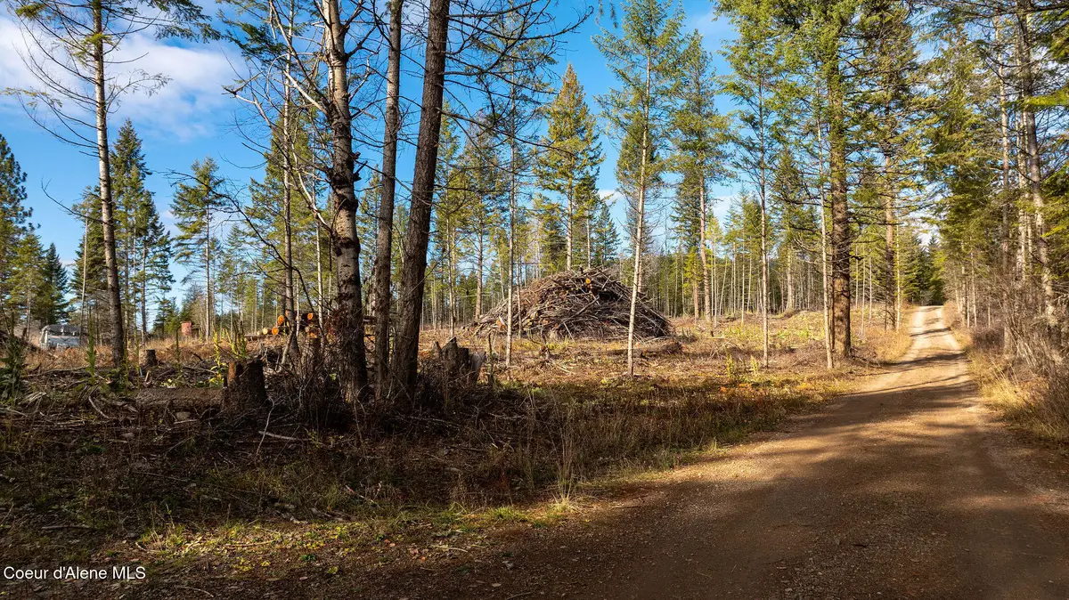 773 Cougar Loop, Clark Fork, ID 83811 - Image #1