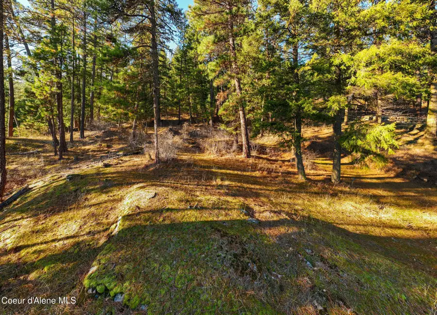 L11 & L12 W Mica Shore Road, Coeur Dalene, ID 83814 - Image #3