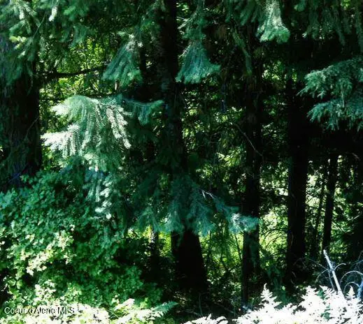 NKA TAMARACK RIDGE RD 1.35 ACRES, Cataldo, ID 83810 - Image #3