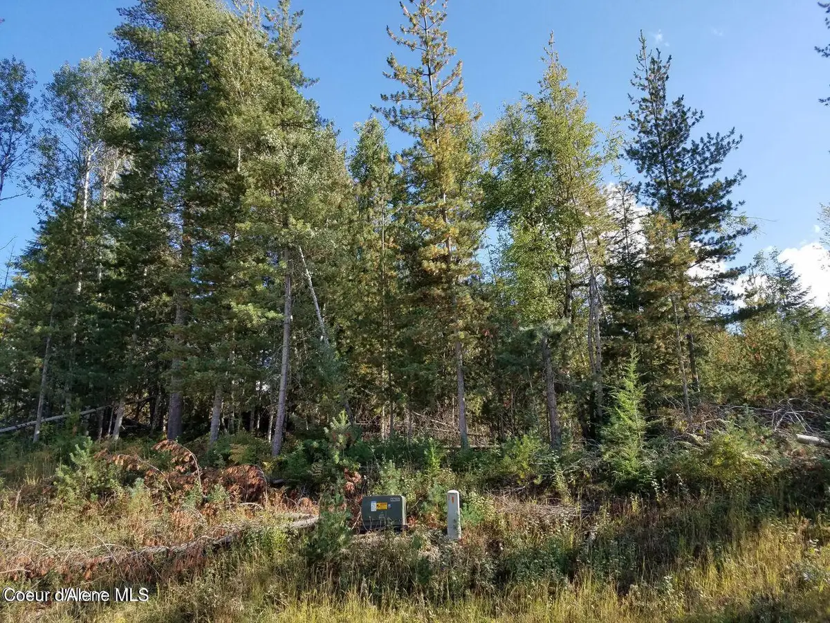 113 Trail Blazer Ct., Pinehurst, ID 83850 - Image #1