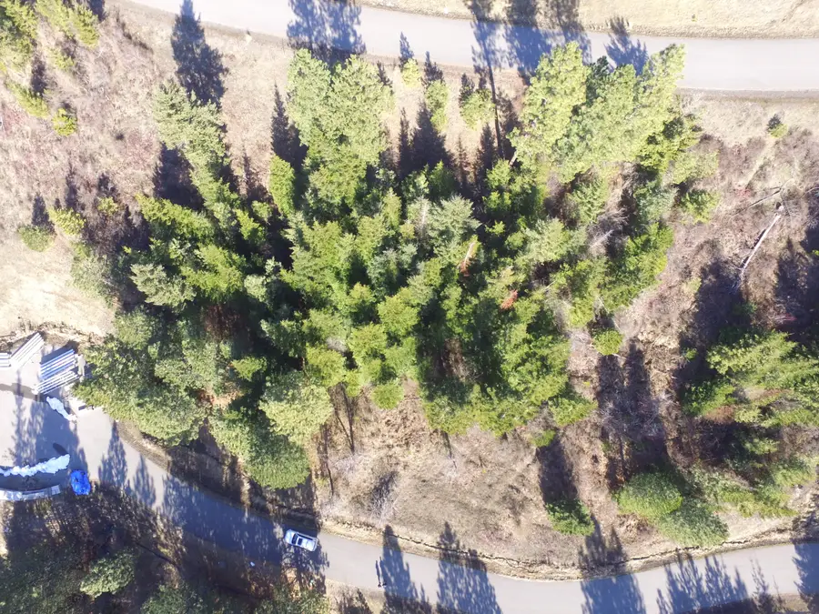 L135 E Echo Canyon Ct, Harrison, ID 83833 - Image #2