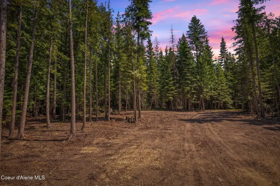 NKA Wandering Wolf Ridge, Clark Fork, ID 83811 - Image #2