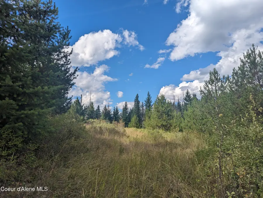 NKA Founders Rd, Emida, ID 83861 - Image #2