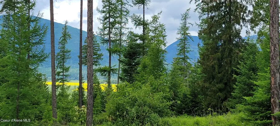 NNA Smugglers Lane - Tract 5, Bonners Ferry, ID 83805 - Image #3