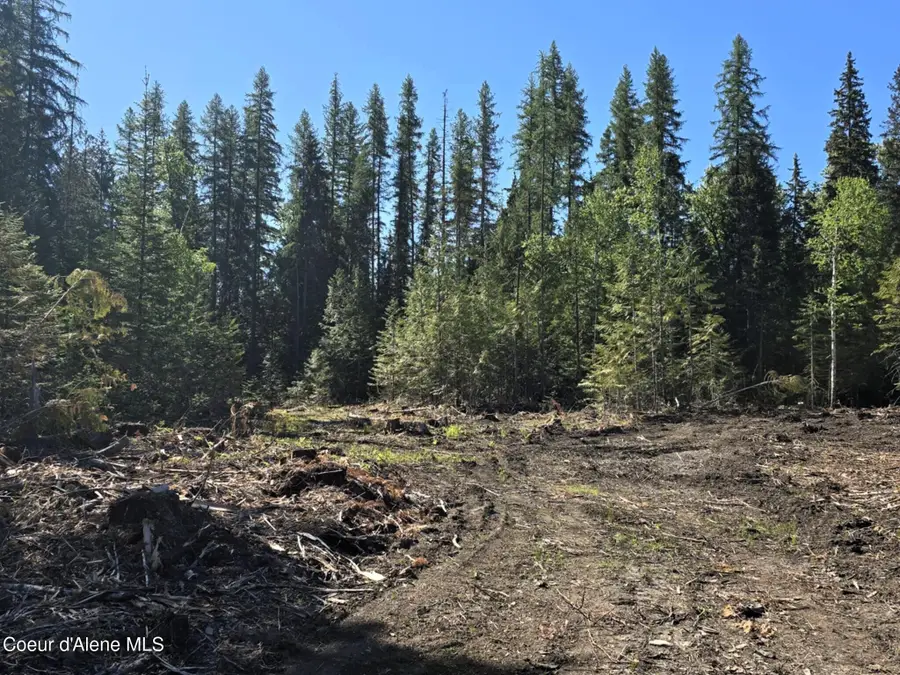 NNA Old Highway Two Loop, Moyie Springs, ID 83845 - Image #3