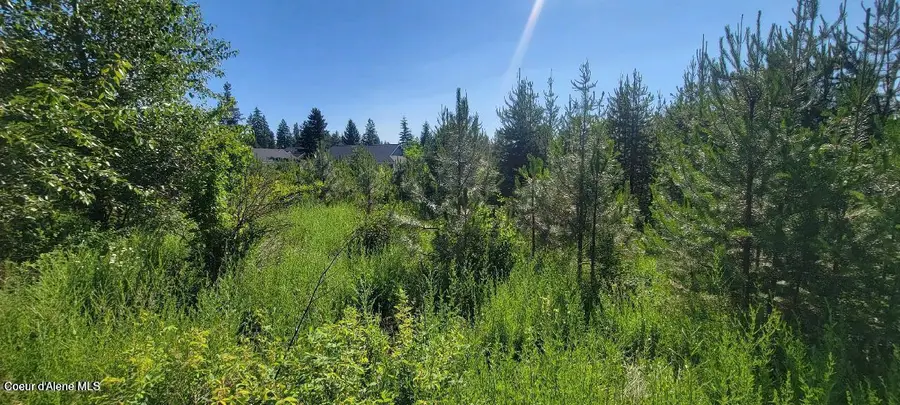 Lt 3 W Fedrick Lp, Spirit Lake, ID 83869 - Image #2