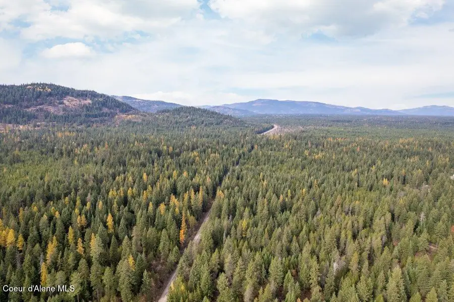 LOT 4 Peak Road, Spirit Lake, ID 83869 - Image #3