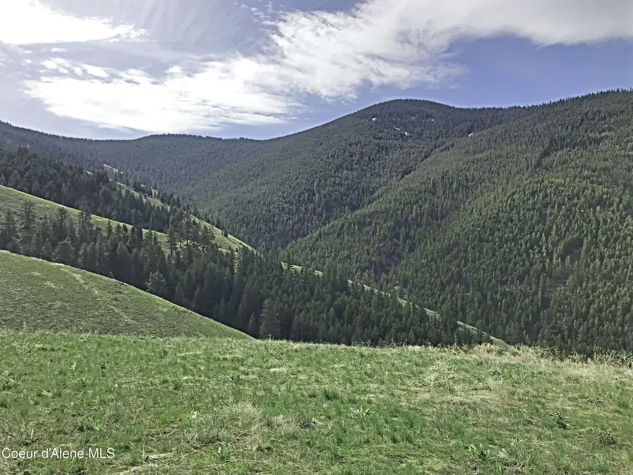 NHA McLaughlin Creek Rd, Plains, MT 59859 - Image #3