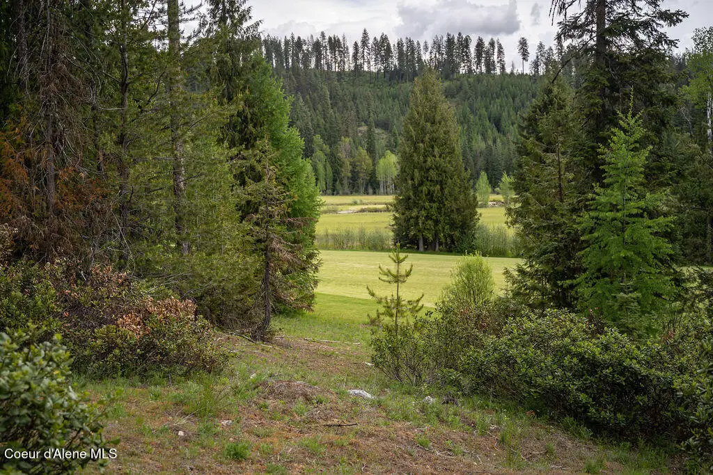 207 Long lot#4 Dr, Priest Lake, ID 83856 - Image #1