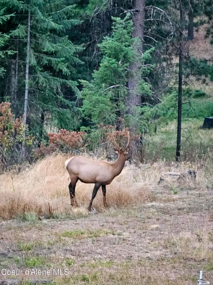 NKA High Chaparral Rd, Coeur Dalene, ID 83814 - Image #2