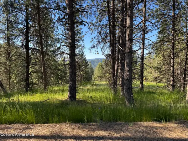 NKA(Lot 2) Baby Cougar Lane, Coeur d'Alene, ID 83815