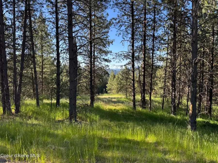 NKA(Lot 2) Baby Cougar Lane, Coeur Dalene, ID 83815 - Image #2