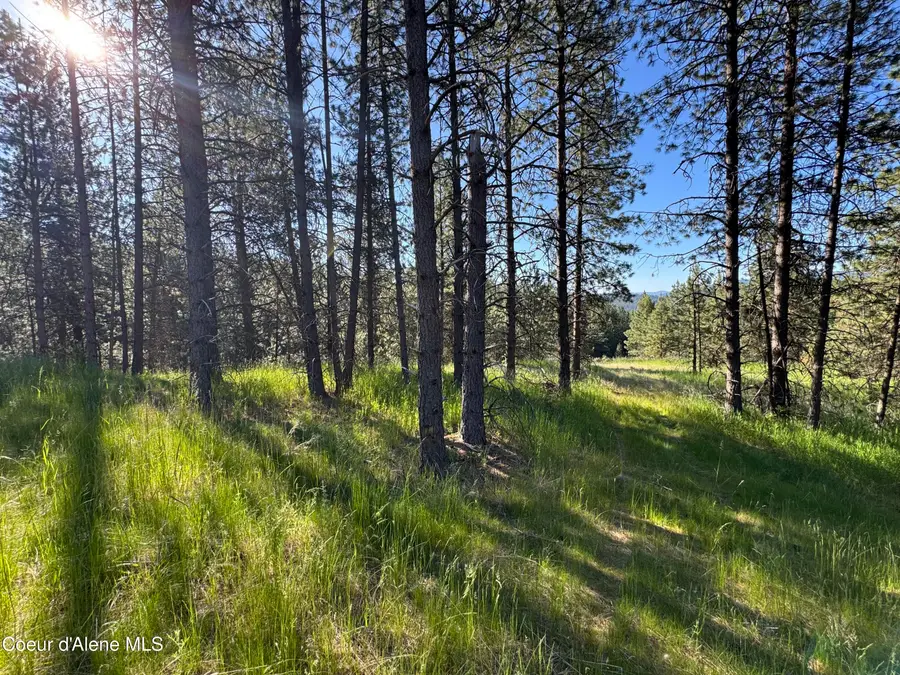 NKA(Lot 2) Baby Cougar Lane, Coeur Dalene, ID 83815 - Image #3