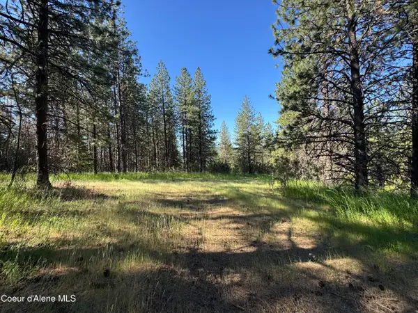 NKA(Lot 3) Baby Cougar Lane, Coeur d'Alene, ID 83815