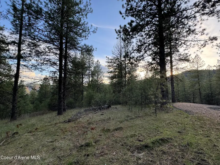 NKA(Lot 3) Baby Cougar Lane, Coeur Dalene, ID 83815 - Image #2