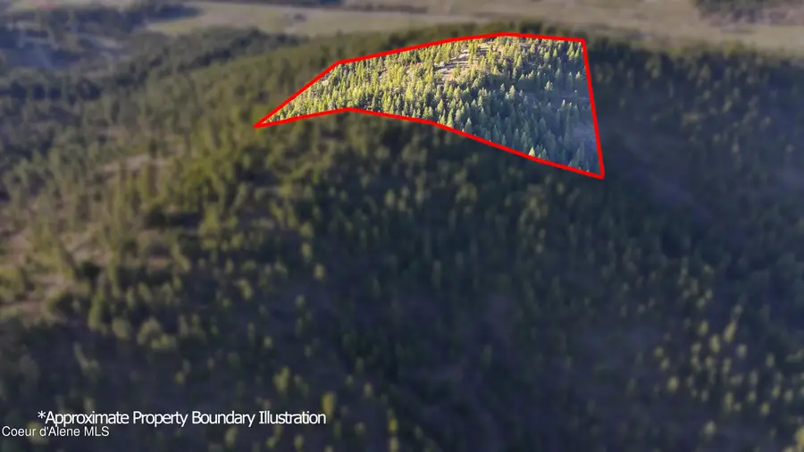 NKA 17.86 Acres, Worley, ID 83876 - Image #2