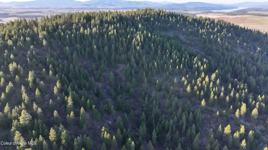 NKA 17.86 Acres, Worley, ID 83876 - Image #3