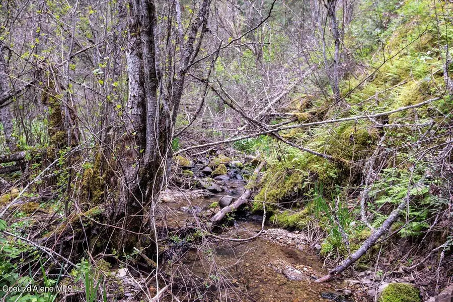 NNA N Corbin Hill Rd, Athol, ID 83801 - Image #3