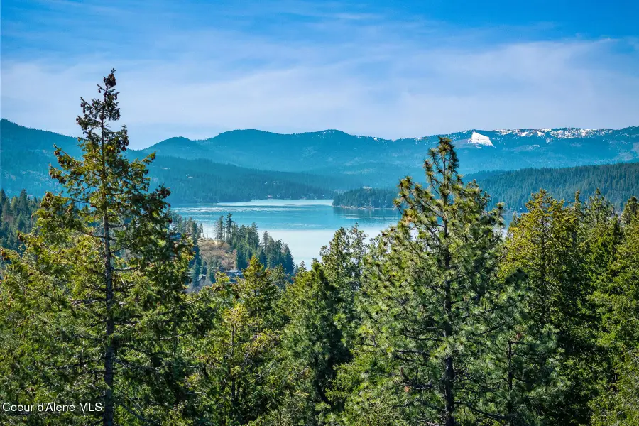 6339 S CORMORANT CT, Harrison, ID 83833 - #3